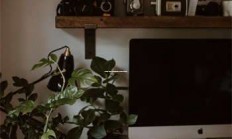 “身弱不担财 天涯神贴”这种帖子真是有点玄学，但又莫名能说中我的内心。